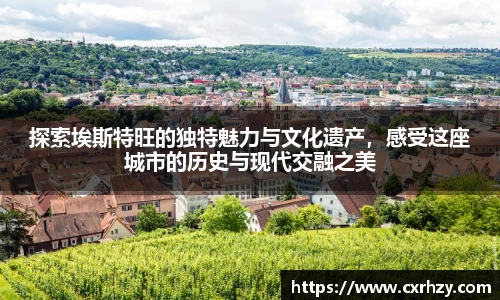 篮球直播