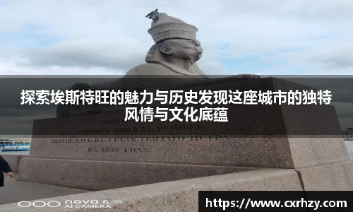 篮球直播