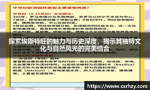 低调看直播